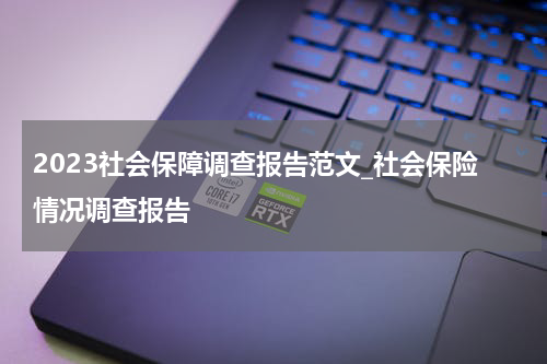 2023社会保障调查报告范文_社会保险情况调查报告