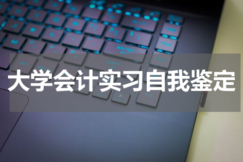 大学会计实习自我鉴定