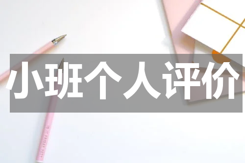 小班个人评价