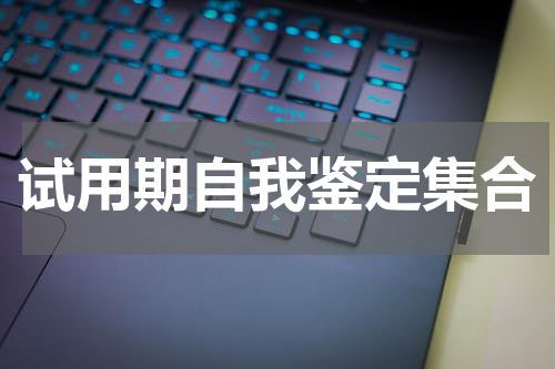 试用期自我鉴定集合