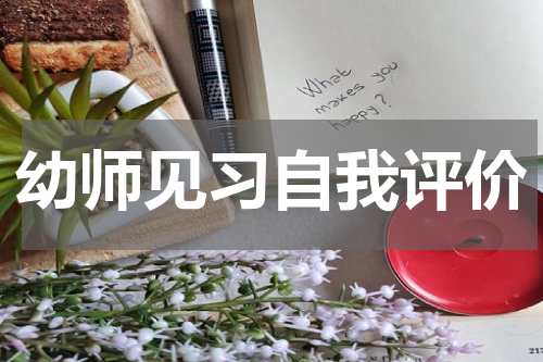 幼师见习自我评价
