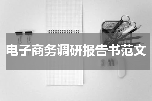 电子商务调研报告书范文