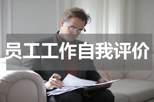 员工工作自我评价
