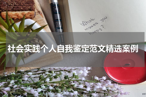 社会实践个人自我鉴定范文精选案例