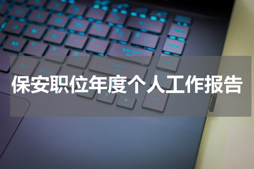 保安职位年度个人工作报告