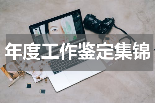 年度工作鉴定集锦