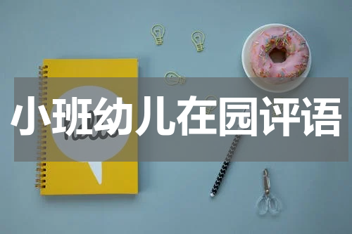 小班幼儿在园评语