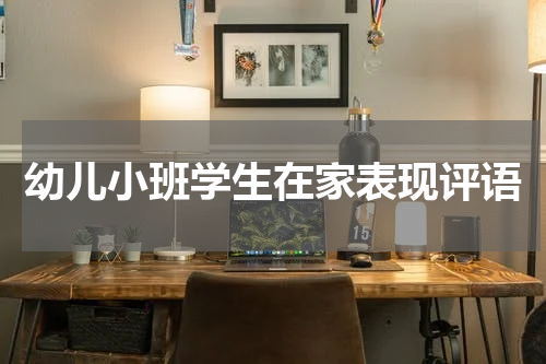 幼儿小班学生在家表现评语