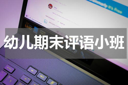 幼儿期末评语小班