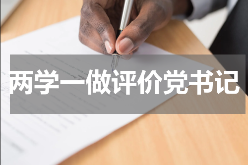 两学一做评价党书记
