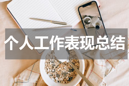 个人工作表现总结