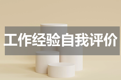 工作经验自我评价