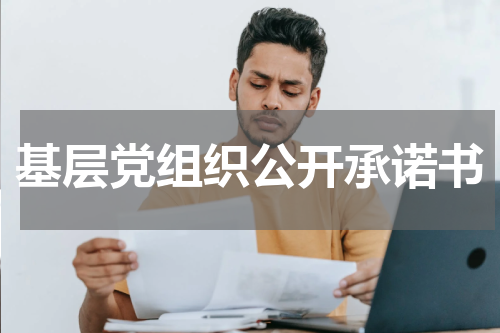 基层党组织公开承诺书