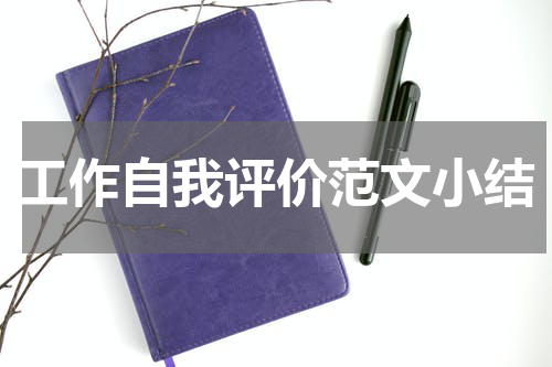 工作自我评价范文小结