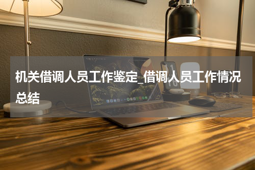 机关借调人员工作鉴定_借调人员工作情况总结