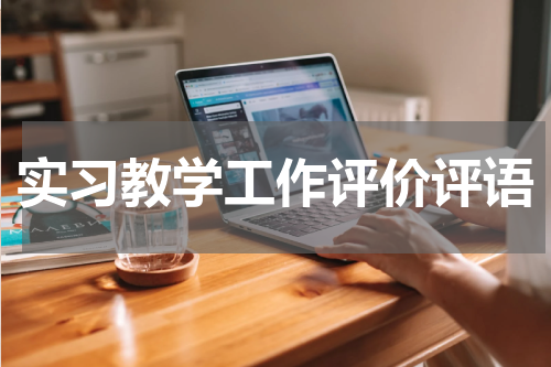 实习教学工作评价评语