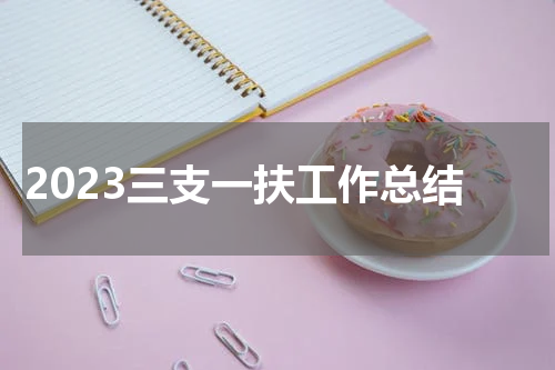2023三支一扶工作总结