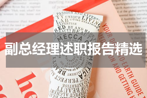 副总经理述职报告精选