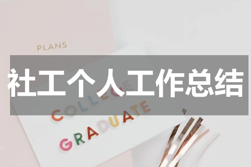 社工个人工作总结