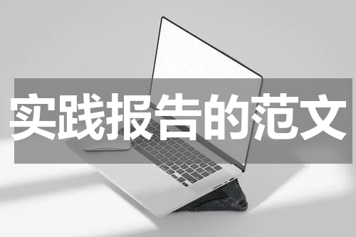 实践报告的范文