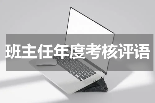 班主任年度考核评语