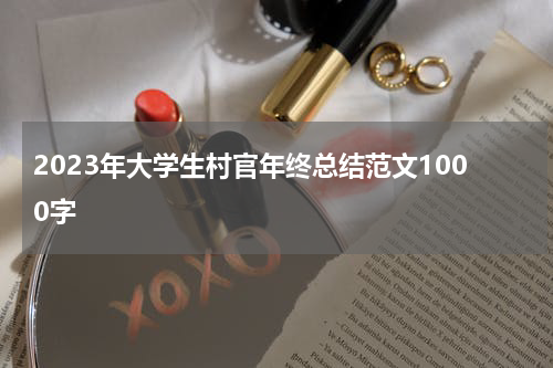 2023年大学生村官年终总结范文1000字