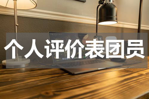 个人评价表团员