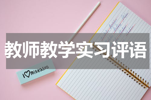 教师教学实习评语