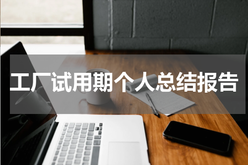 工厂试用期个人总结报告