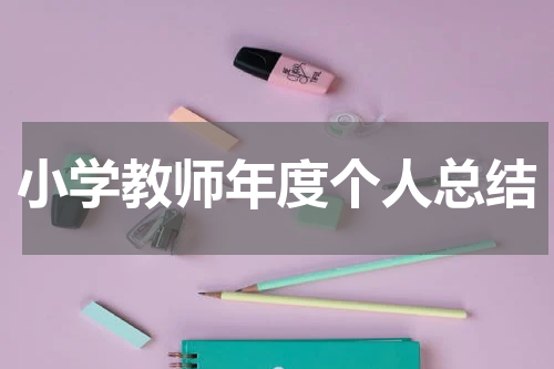 小学教师年度个人总结