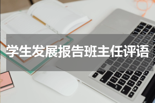 学生发展报告班主任评语