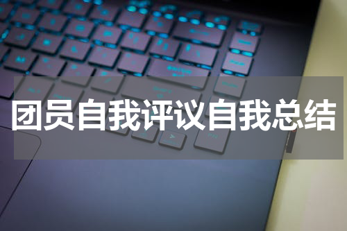 团员自我评议自我总结