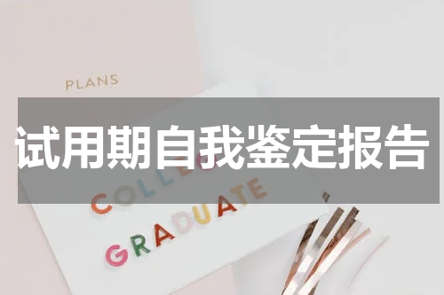 试用期自我鉴定报告