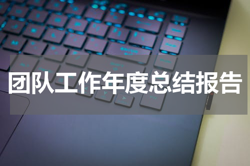 团队工作年度总结报告