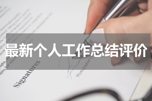 最新个人工作总结评价