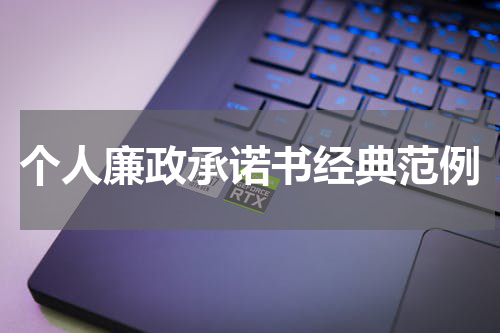 个人廉政承诺书经典范例