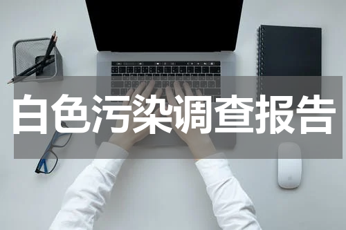 白色污染调查报告