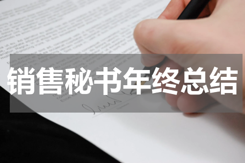销售秘书年终总结