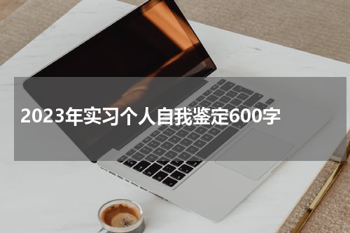 2023年实习个人自我鉴定600字