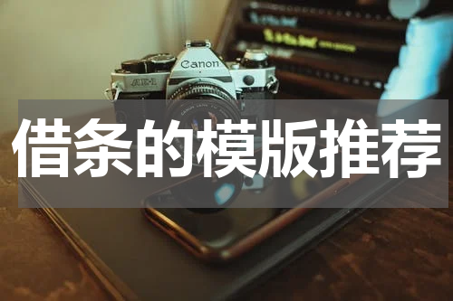 借条的模版推荐