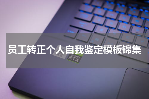 员工转正个人自我鉴定模板锦集