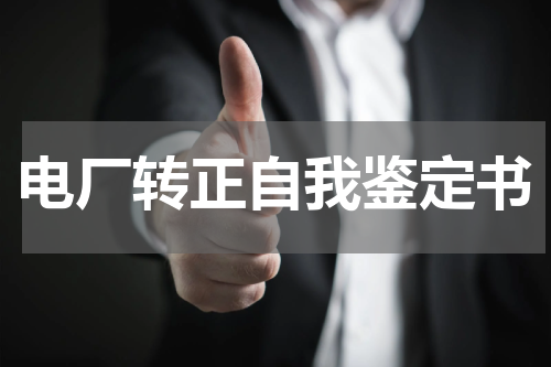 电厂转正自我鉴定书
