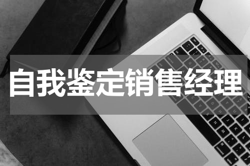自我鉴定销售经理