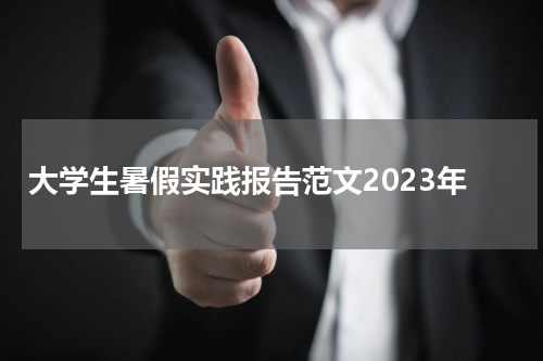 大学生暑假实践报告范文2023年