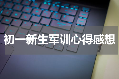 初一新生军训心得感想