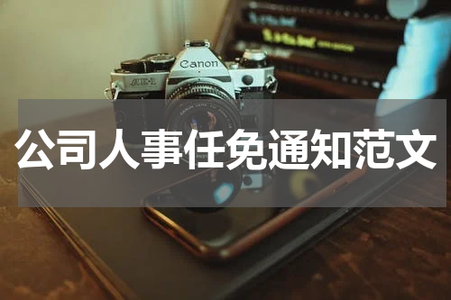 公司人事任免通知范文