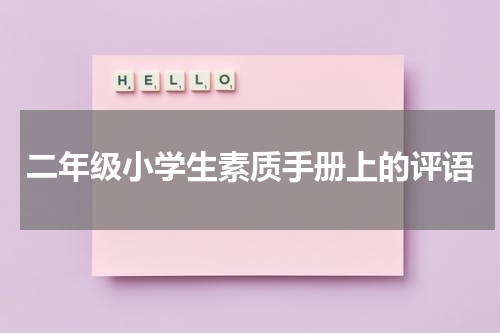 二年级小学生素质手册上的评语