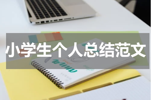 小学生个人总结范文