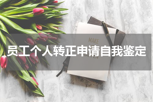 员工个人转正申请自我鉴定
