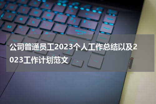 公司普通员工2023个人工作总结以及2023工作计划范文